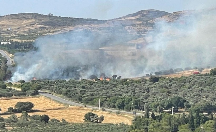 Foça'da araçtan atılan izmarit yangına yol açtı