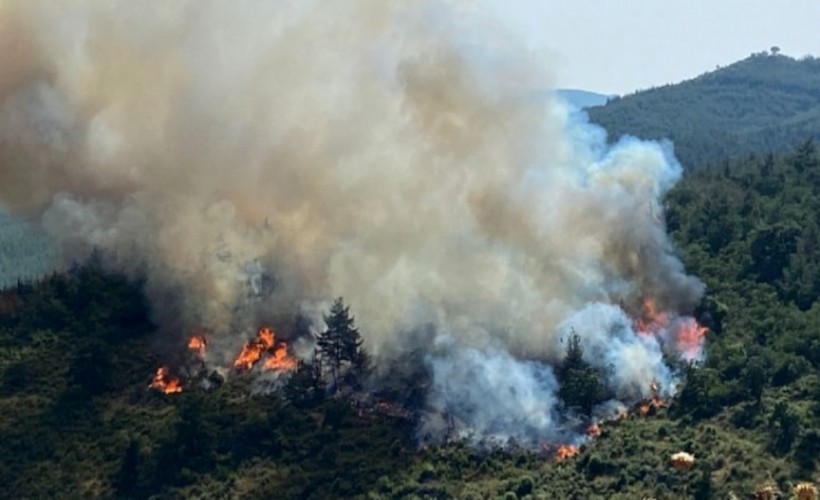 Haziranda orman yangınları rekor kırdı!