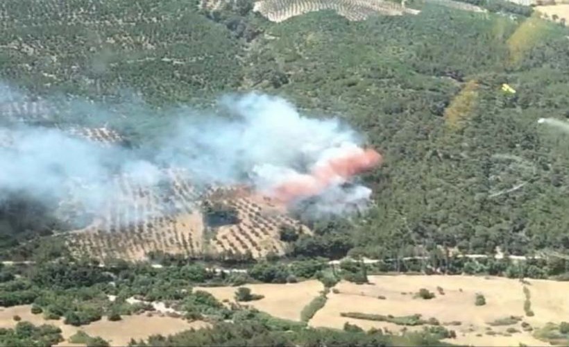 Bergama'daki orman yangını 20 saat sonra kontrol altına alındı