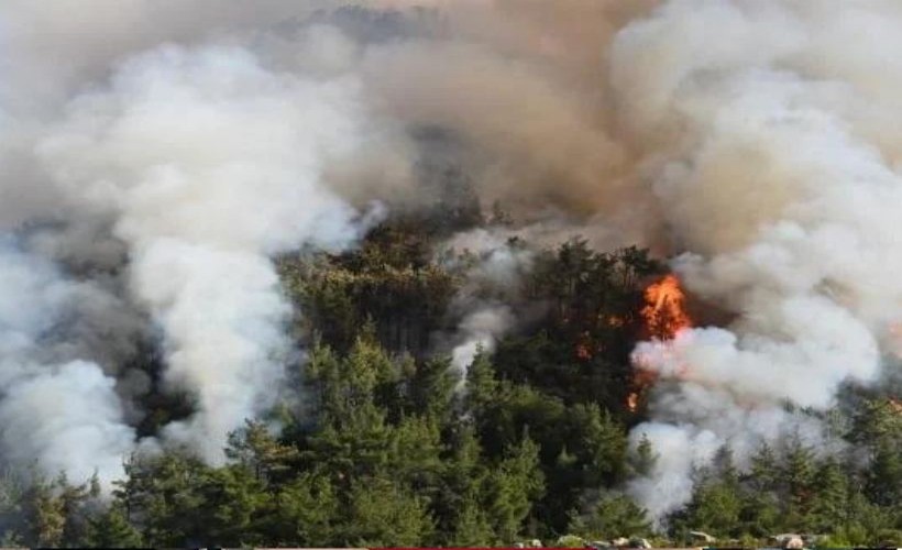 İzmir'de artan orman yangınlarına karşı dikkat! AFAD'dan uyarı mesajı