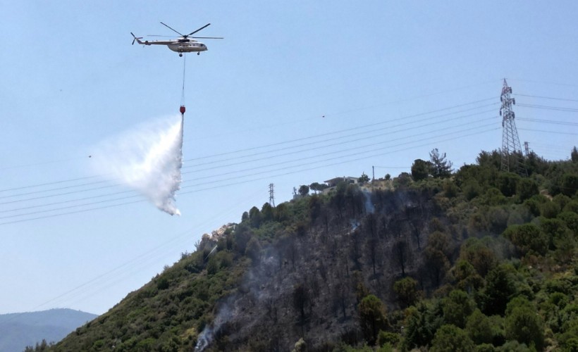 İzmir'de orman yangını:1 kişi gözaltına alındı