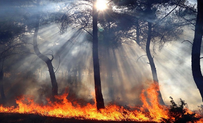 İzmir ve Manisa'da geçen yıl aynı döneme göre yangınlarda artış
