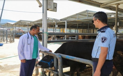 Karşıyaka'nın kurban pazarında hazırlıklar tamam