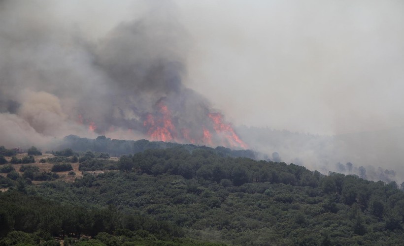 Manisa'da orman yangını; 7 saatte kontrol altına alındı