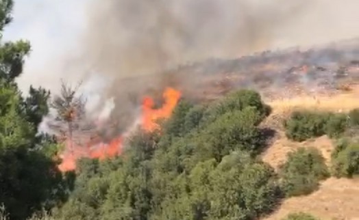 Manisa'da orman yangınında 3 hektar alan tahrip oldu
