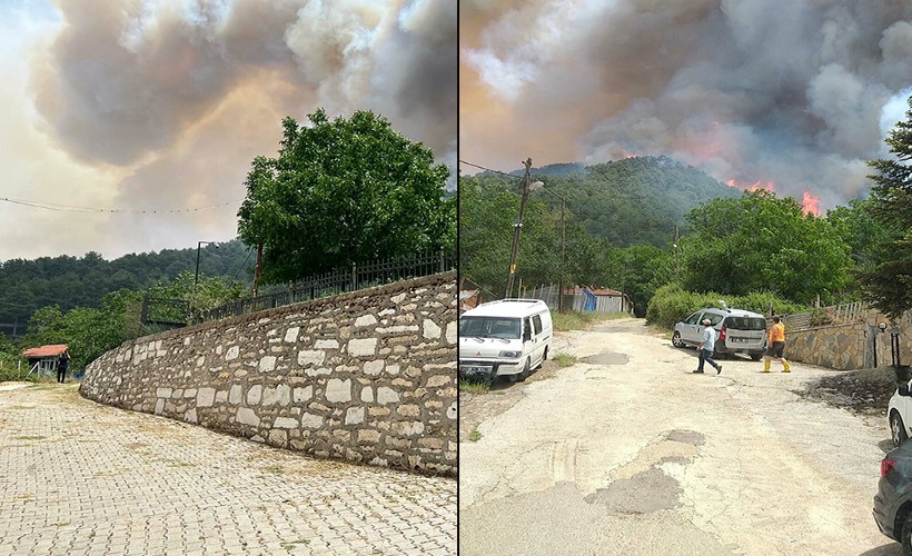 Milas'taki orman yangını: 2 saatte kontrol altına alındı