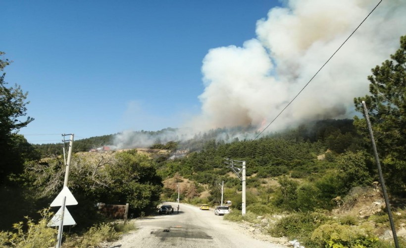 Spil Dağı'nda korkutan yangın