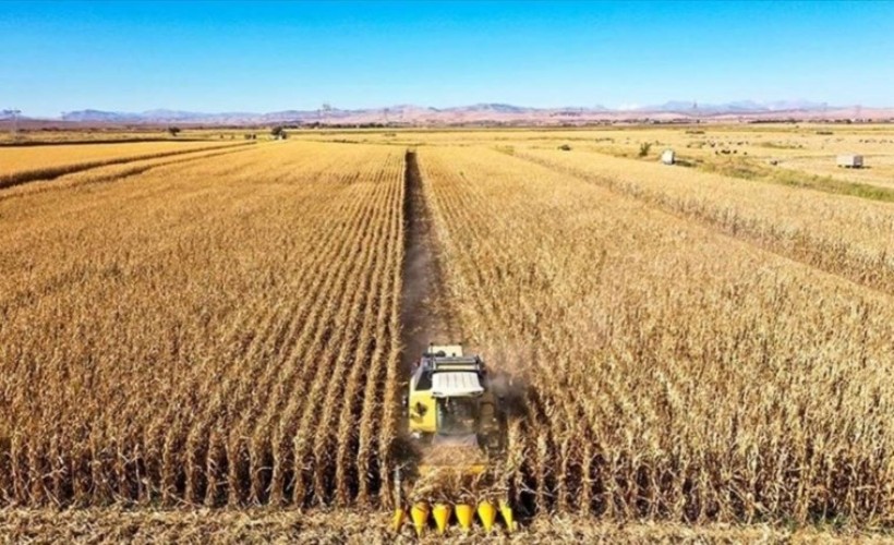 Tarım arazileri 23,9 milyon hektara geriledi