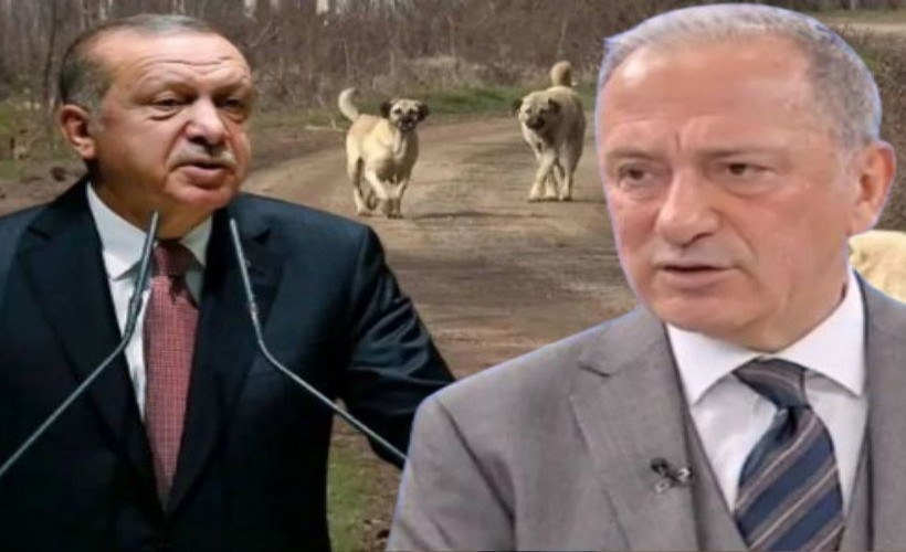 Altaylı: AK Parti’nin hedefi köpekler değil, belediyelere bir cephe daha açmak