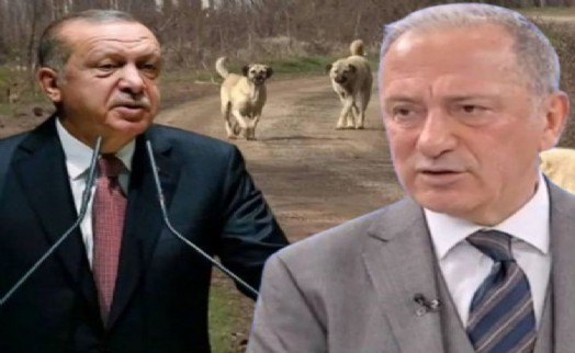 Altaylı: AK Parti'nin hedefi köpekler değil, belediyelere bir cephe daha açmak