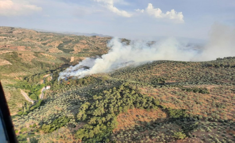 Aydın’daki orman yangını 4 saatte kontrol altına alındı