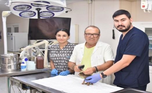 Balçova'da can dostlara hizmet veren klinik ve bakımevi; Türkiye'ye örnek oluyor