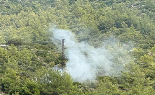 Bodrum'da ormanda çıkan korkutan yangın büyümeden söndürüldü