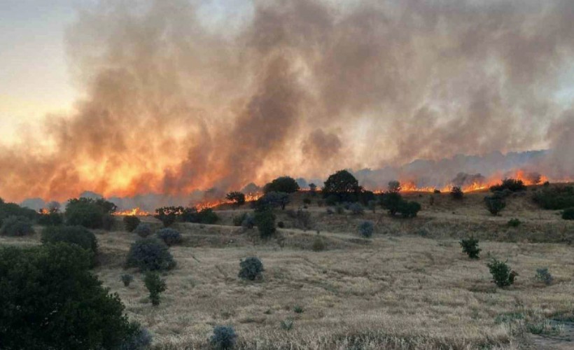 Diyarbakır ve Mardin'de yangının yaşandığı bölge 'Afet Bölgesi' ilan edildi