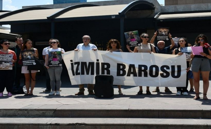 İzmir Barosu'ndan sokak hayvanları için dayanışma çağrısı: 'Kısırlaştırın, aşılatın, yaşatın'