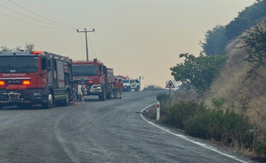 İzmir İtfaiyesi Dikili'de orman yangınına müdahale ediyor