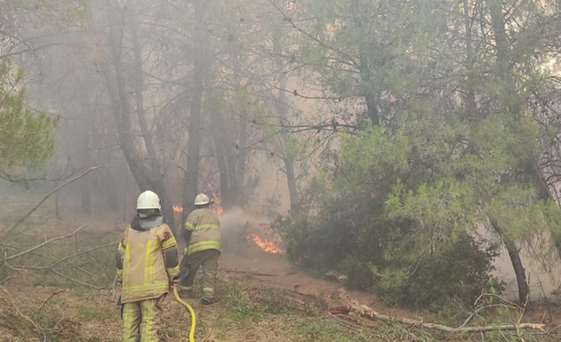 İzmir İtfaiyesi kentin dört bir yanında yangınlarla mücadele ediyor