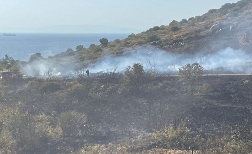 Foça’daki orman yangının sebebi belli oldu