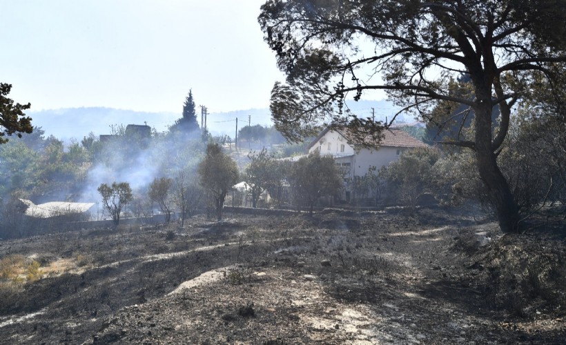 İzmir'de orman yangını, 2 mahalle boşaltıldı