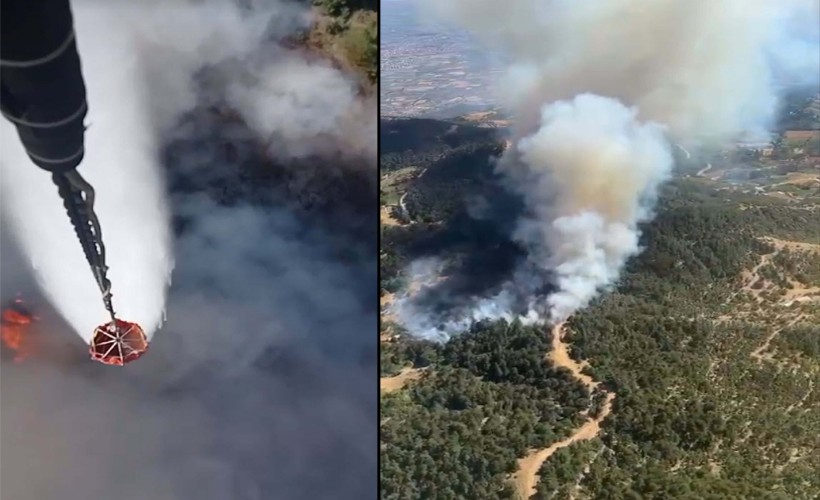 İzmir'de orman yangını; Alevlere müdahale edildi