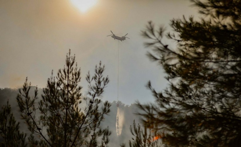 Bergama'daki orman yangını 23 saat sonra kontrol altına alındı