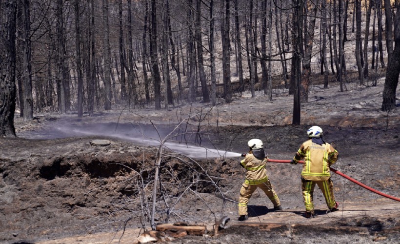 Dikkat! Yangınların yüzde 98’i insan kaynaklı; 'Canımız yandı'