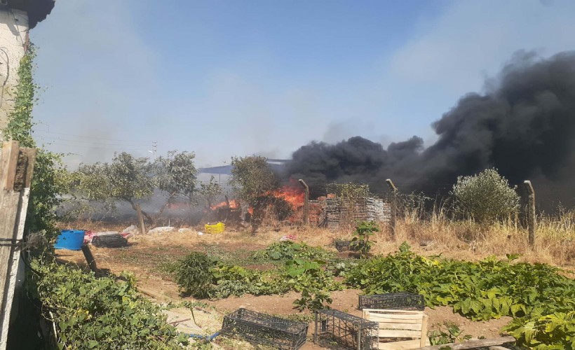 Kemalpaşa'da tarım arazisinde yangın