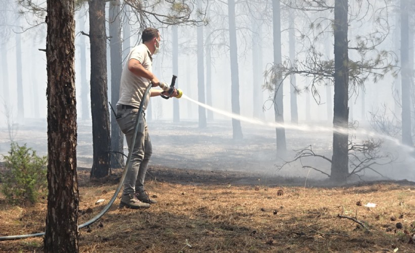 Kütahya'da 1,5 hektar orman yandı