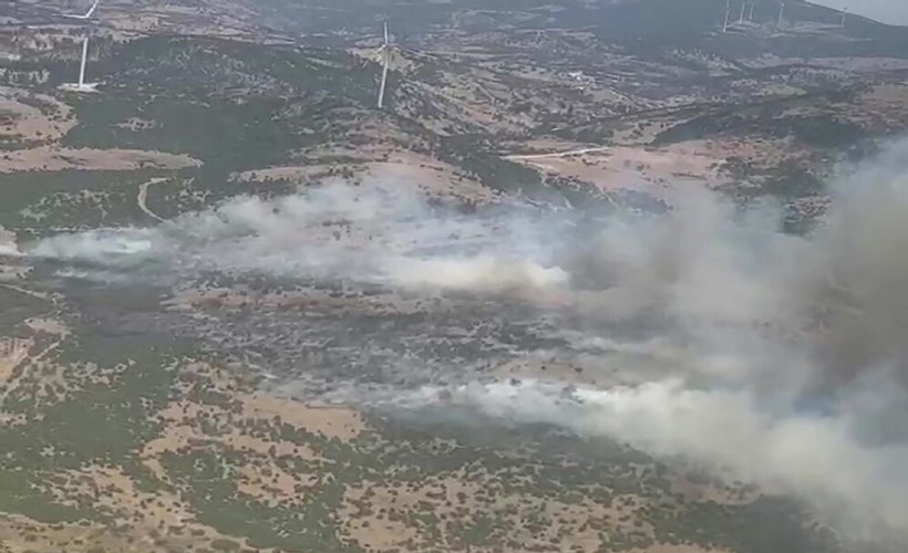Manisa'daki orman yangını 6 saatte kontrol altına alındı