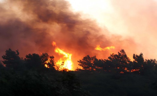 Manisa'daki yangında 600 hektar alan zarar gördü