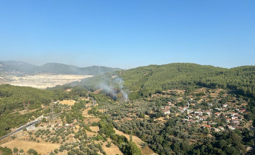 Milas'ta çıkan yangın söndürüldü