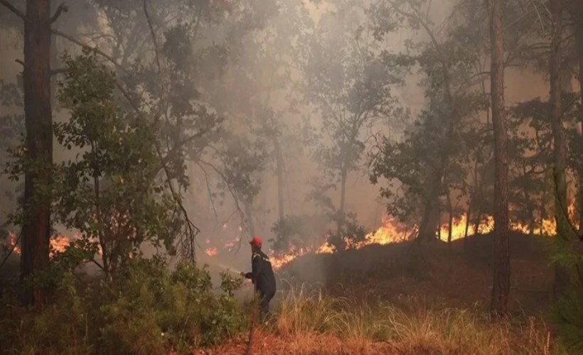 Orman İşletme Müdürü yangında yaralandı!