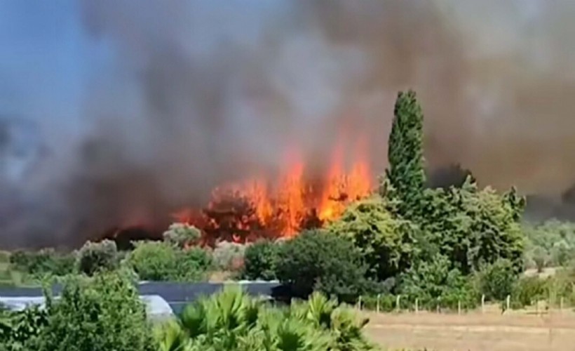 Urla'daki anız yangını korkuttu; alevler, akaryakıt istasyonuna 200 metre kala kontrol altına alındı