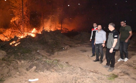 Uşak'ta iki ayrı yerde orman yangını: 11 ev tahliye edildi