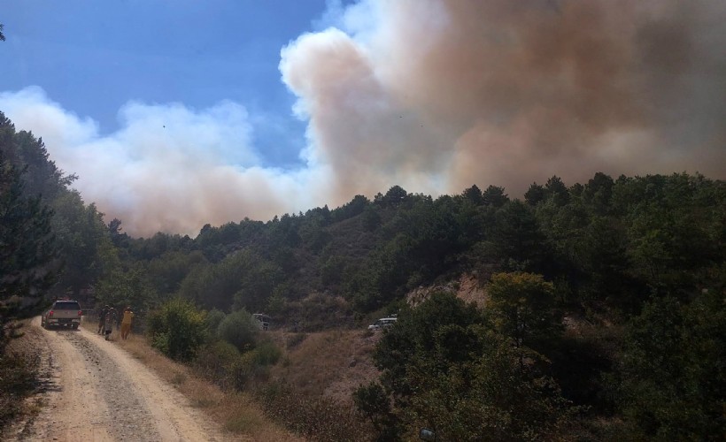 Afyonkarahisar'daki orman yangınına ilişkin 1 gözaltı