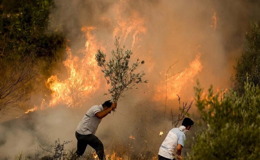 Aydın'daki maki yangını 5 saat sonra kontrol altına alındı