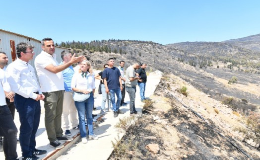 Başkan Yıldız'dan yangın bölgesinde inceleme