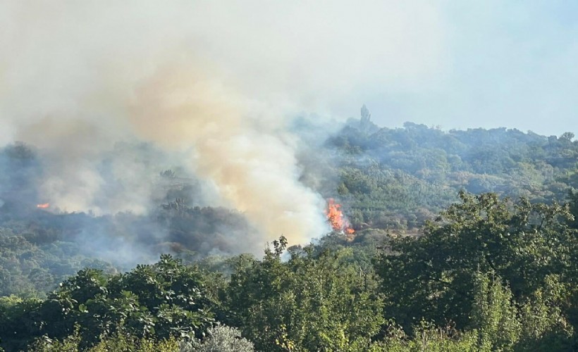 Bir orman yangını da Ödemiş'te başladı