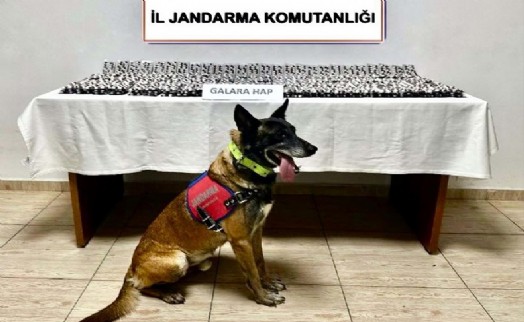 Bodrum'da 4 bin 756 sentetik hap ele geçirildi