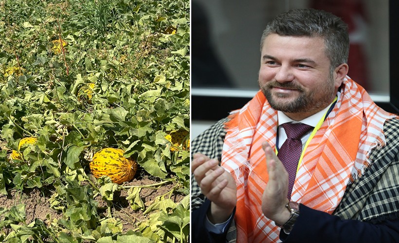 Buca’nın kavunu festivalle tanıtılacak