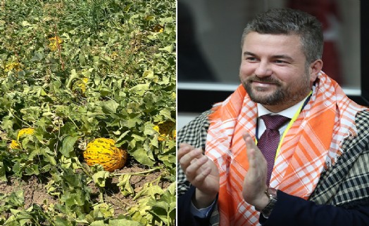 Buca'nın kavunu festivalle tanıtılacak
