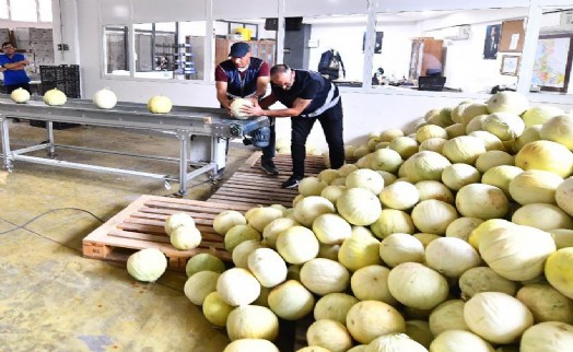 İzmir'de 300 ton ürün heba olmayacak