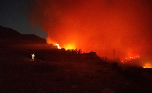 İzmir'deki orman yangınlarında 6 tutuklama