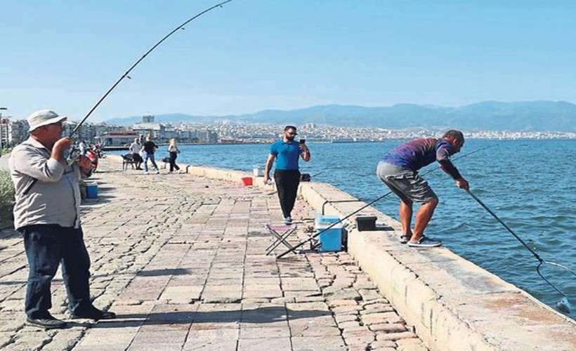 Körfez'de balık tutmanın ve satmanın cezası belli oldu