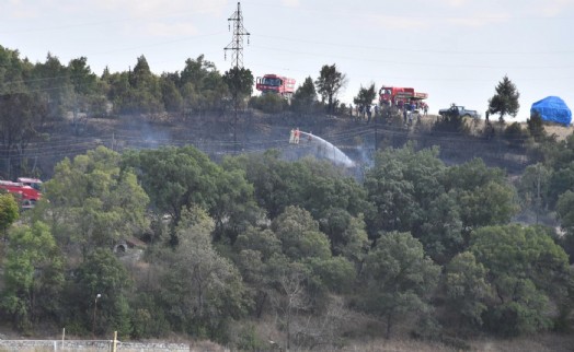 Kütahya'da orman yangınında 10 dekarlık alan zarar gördü