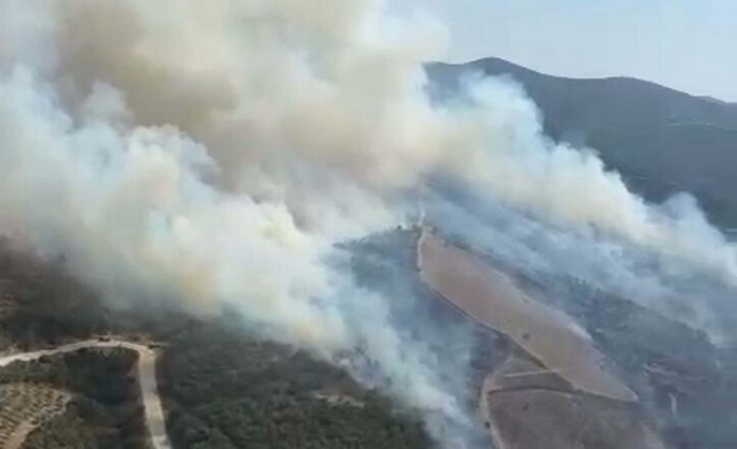 Manisa'daki orman yangını kontrol altına alındı