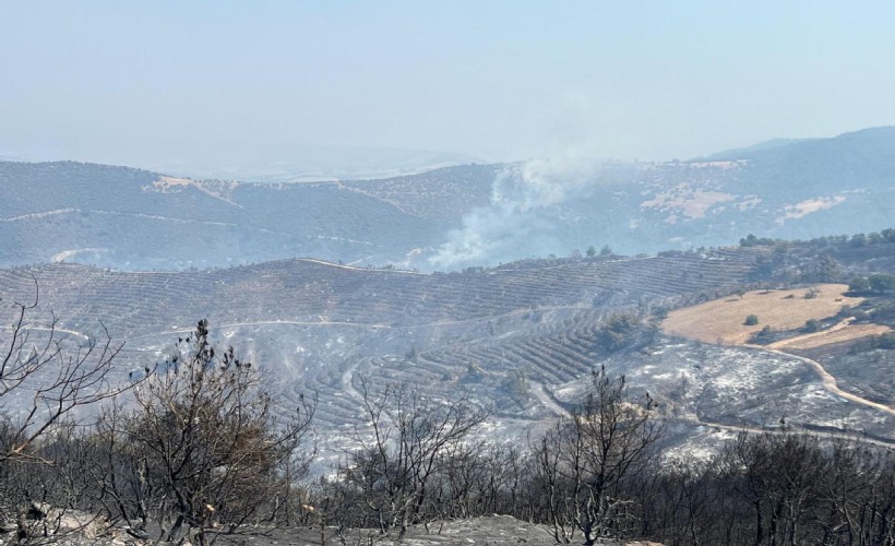 Manisa'daki orman yangını 116,5 saatte kontrol altına alındı