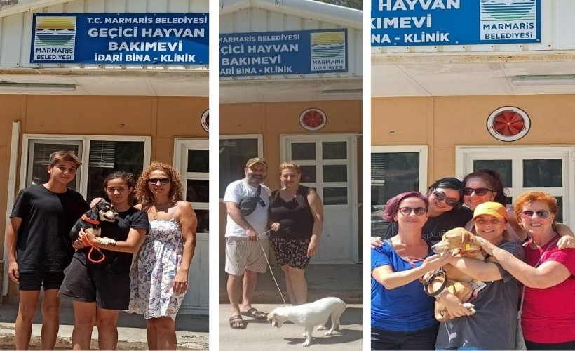 Marmaris'te 7 ayda 157 hayvanı sahiplendirdi