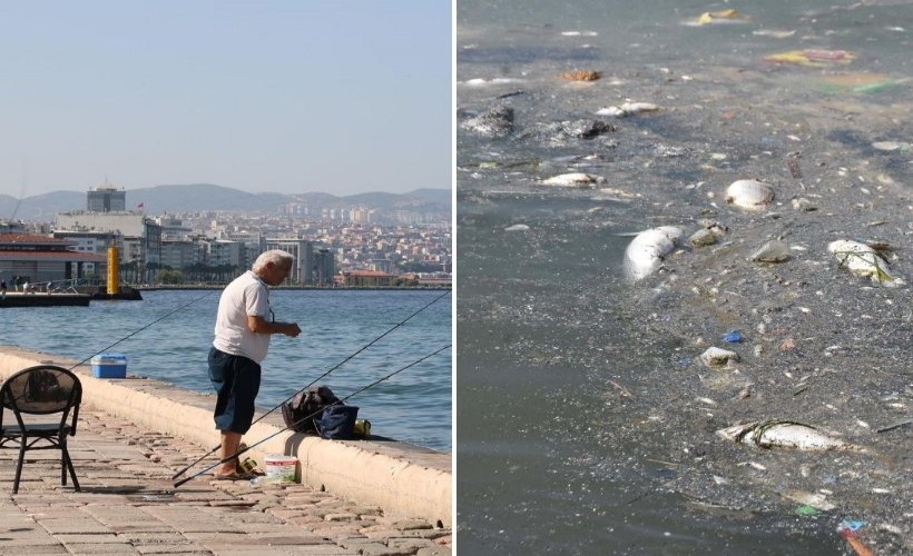 Uzman uyardı: Vatandaşlar Kordon'da ölü balık kokusunda avlandı