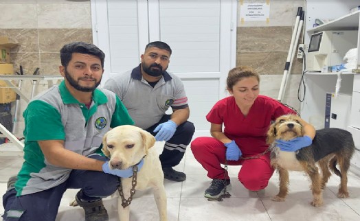 Yangından kurtarılan can dostlara Menemen'de şefkat eli